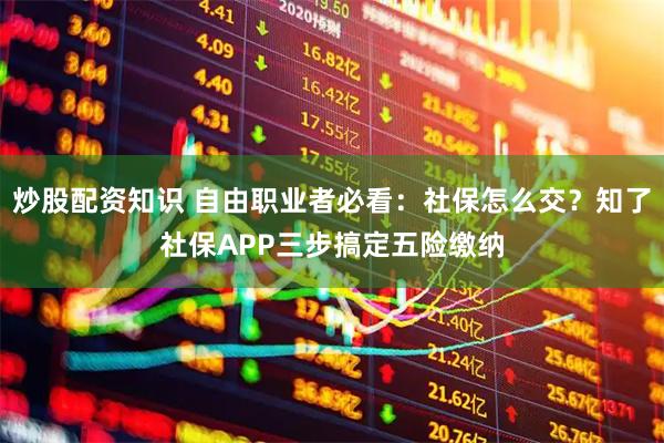 炒股配资知识 自由职业者必看：社保怎么交？知了社保APP三步搞定五险缴纳