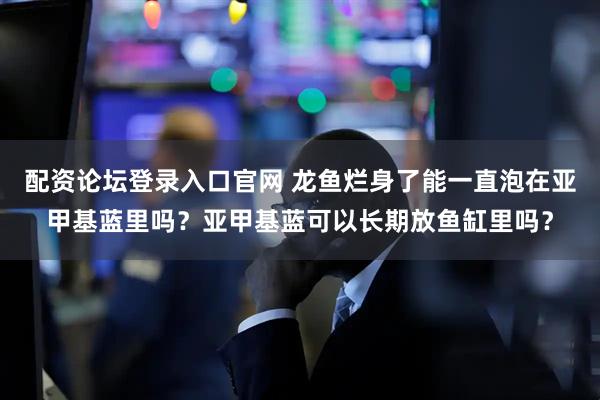 配资论坛登录入口官网 龙鱼烂身了能一直泡在亚甲基蓝里吗?亚甲基蓝可以长期放鱼缸里吗?